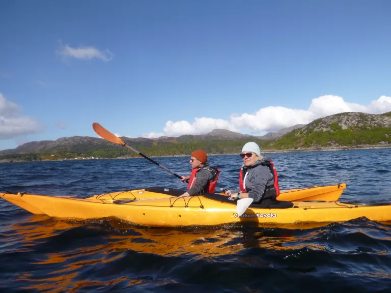 porpoise and kayakers