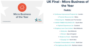 Micro Business of the Year