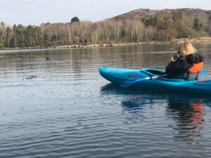 Kayak with Seals at Gairloch