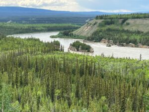 Canada deep forests with Yukon river flowing through