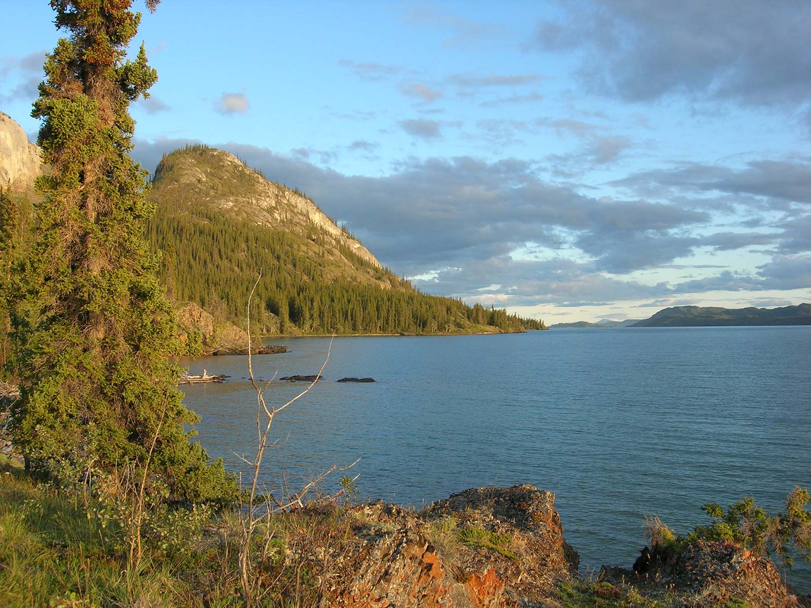 Yukon Quest Race