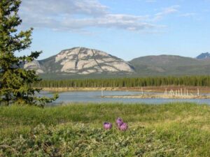 Canoeing in the Canadian Wilderness 2023