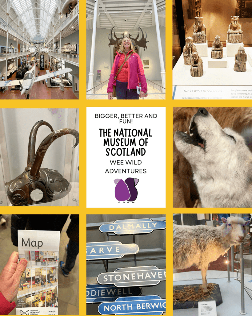 The National Museum of Scotland: Bigger, Better, and More Moving Than I Expected