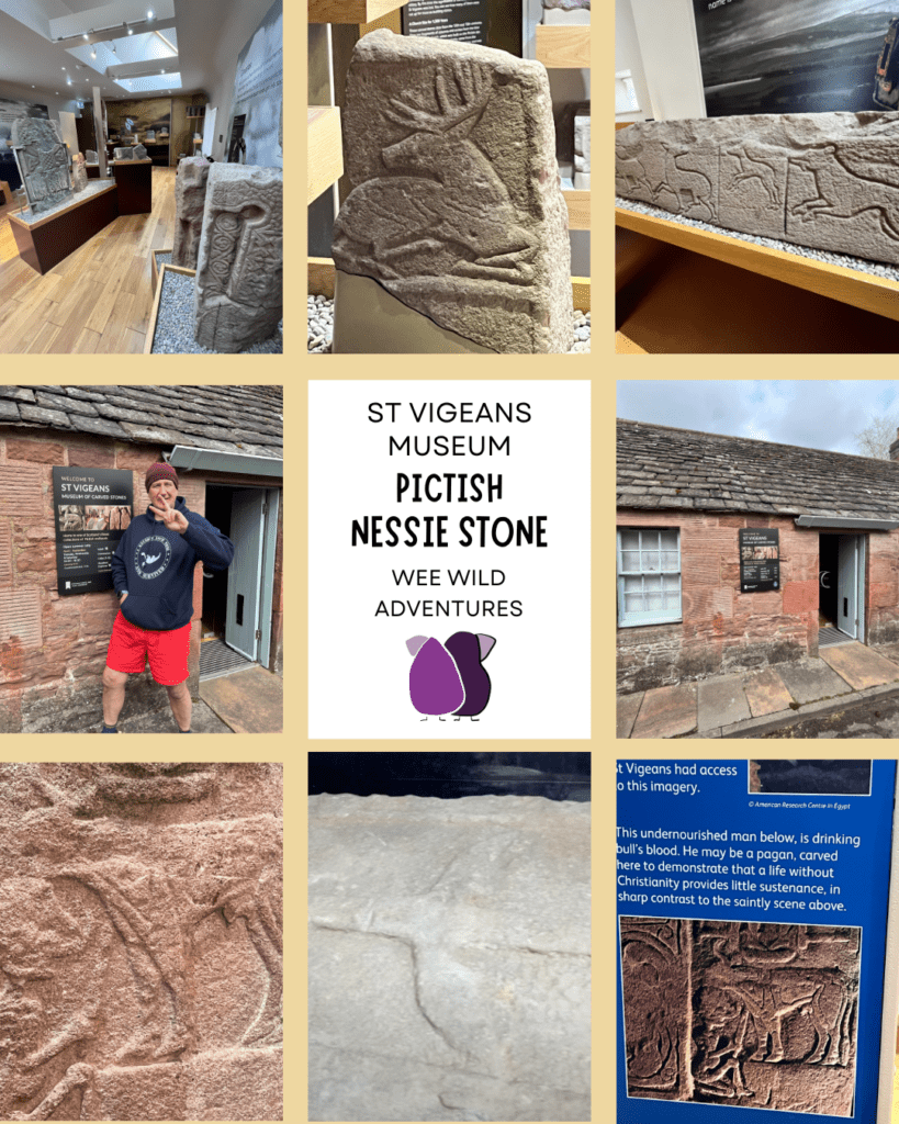 Our Visit to St Vigeans Museum and the ‘Nessie Stone’ Surprise!