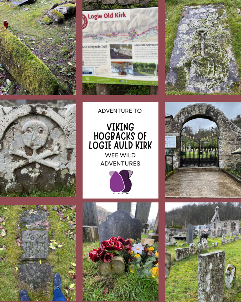 Viking Hogbacks and Logie Kirk Images