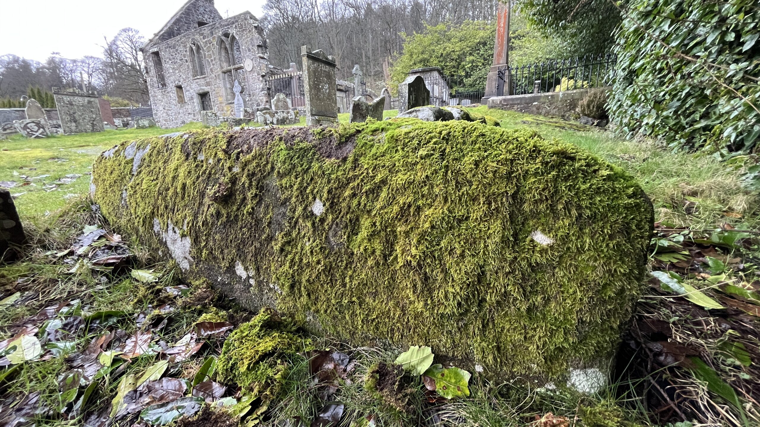 Intact and moss covered Viking Hogback in Logie Old Kirk