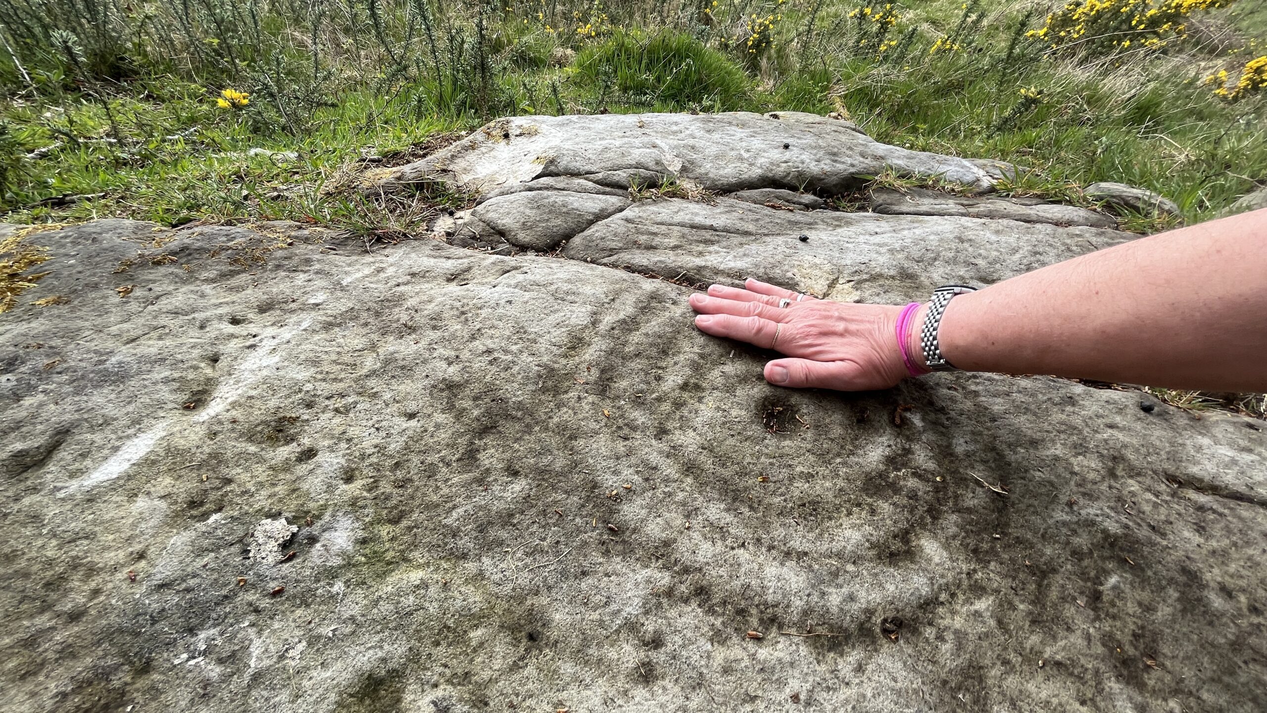 My hand beside one of the Cowie Carved Stones