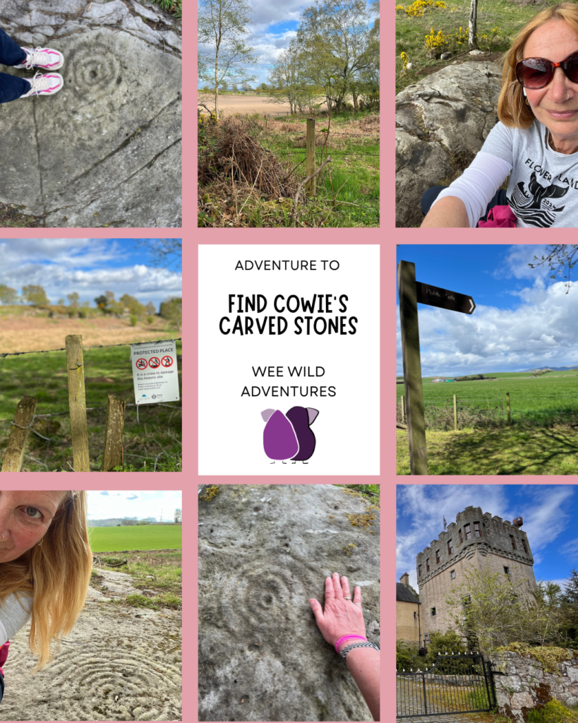 Collages of Cowie's Carved Stone Circles and Cup Marks